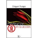 MEDITACION EN LA ACCION