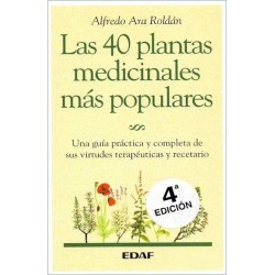 40 PLANTAS MEDICINALES MÁS POPULARES LAS