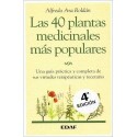 40 PLANTAS MEDICINALES MÁS POPULARES LAS