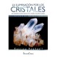 ILUMINACIÓN POR LOS CRISTALES, LA