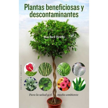 PLANTAS BENEFICIOSAS Y DESCONTAMINANTES
