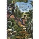 AGENDA DE LS BRUJAS 2026